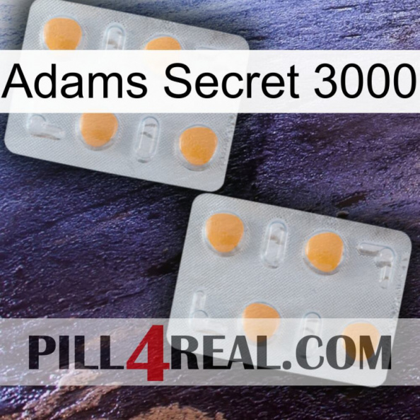Adams Secret 3000 25